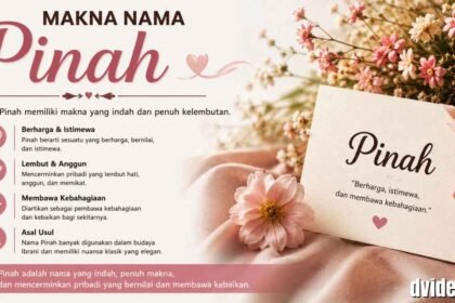 Makna Pinah: Arti Lengkap dari Berbagai Bahasa dan Perspektif